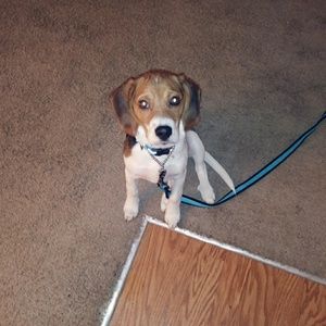 Meet your Posher, Corina